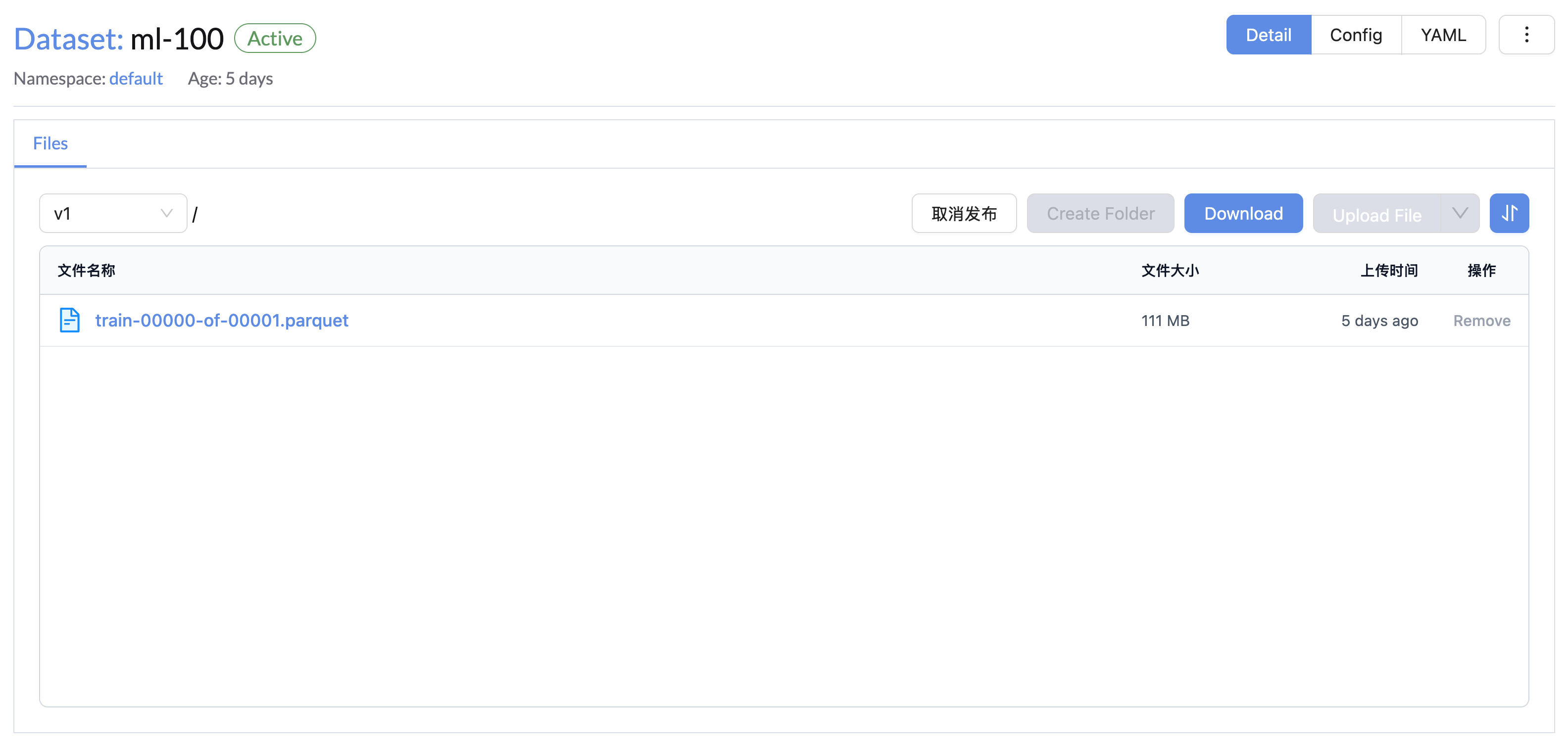 dataset-files